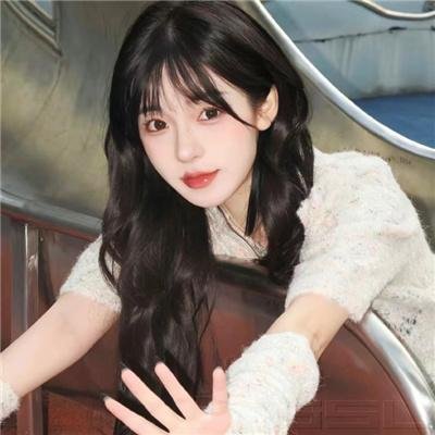 河东师情